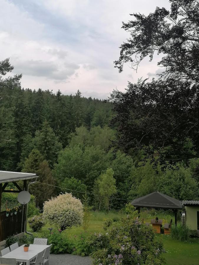 Ferienwohnung Waldblick Mit Balkon Sebnitz Exterior photo